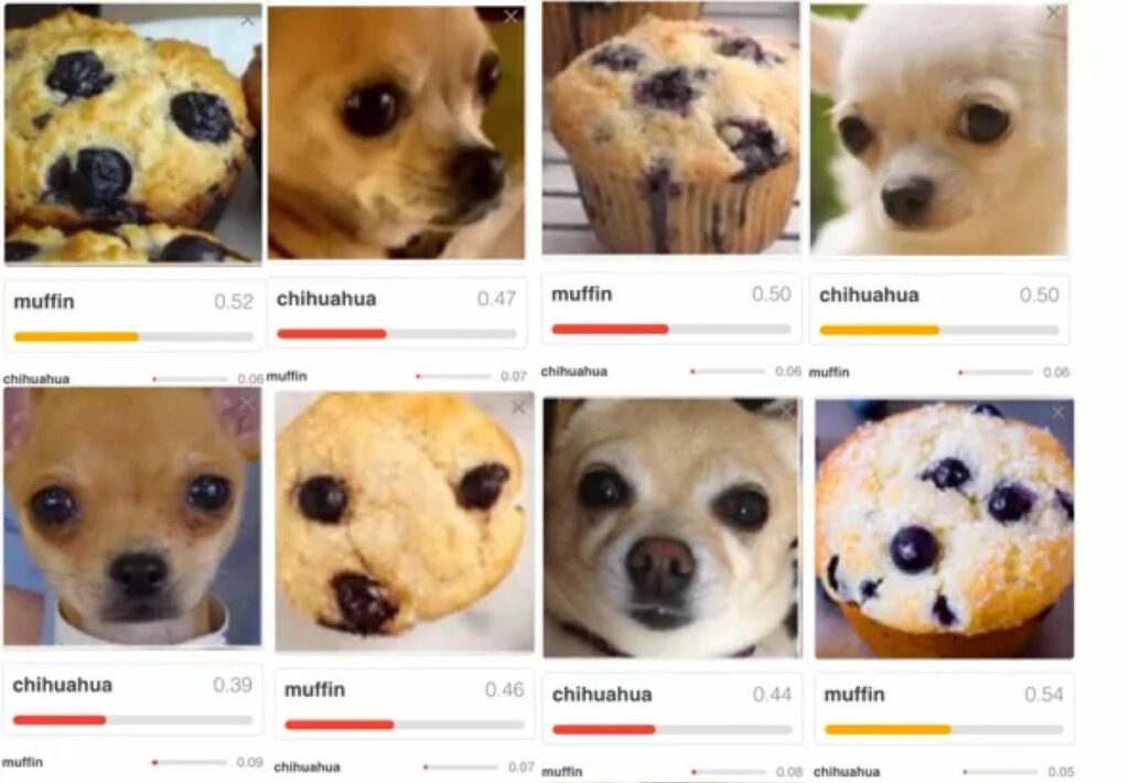 Input data that just happens to look like a particular pattern. Here using the example of chihuahuas and muffins