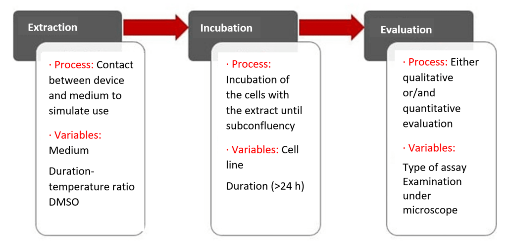 Cytotoxicity testing process in three steps