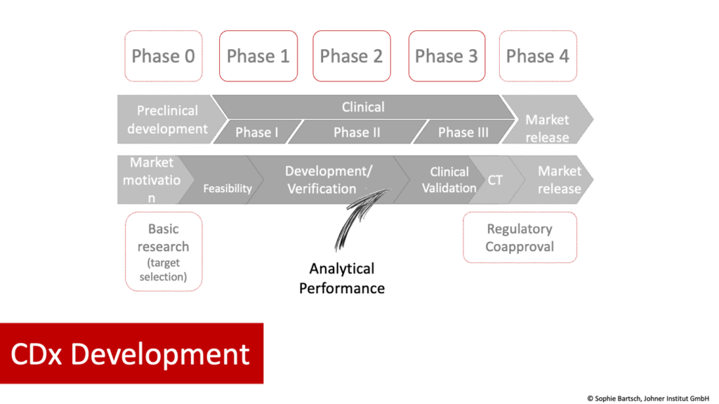 Phases of co-development of CDx and medicinal product