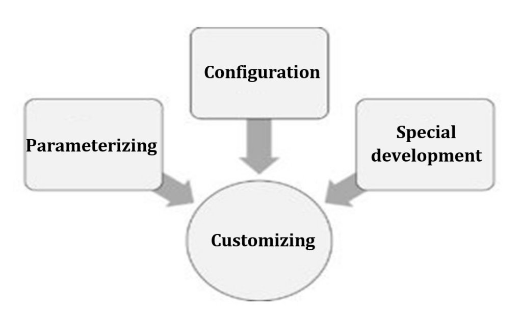 Customizing includes parameterization, configuration, and extensions with special solutions.