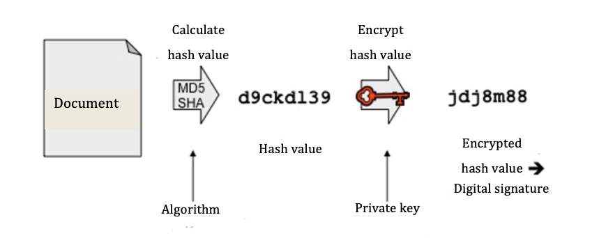 Digital signature based on the hash value of the document