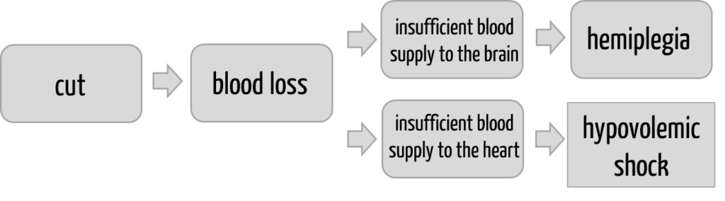 An initial harm can trigger several chains of harmful events